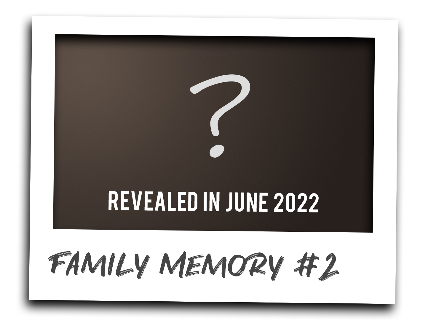 Family Memory #2