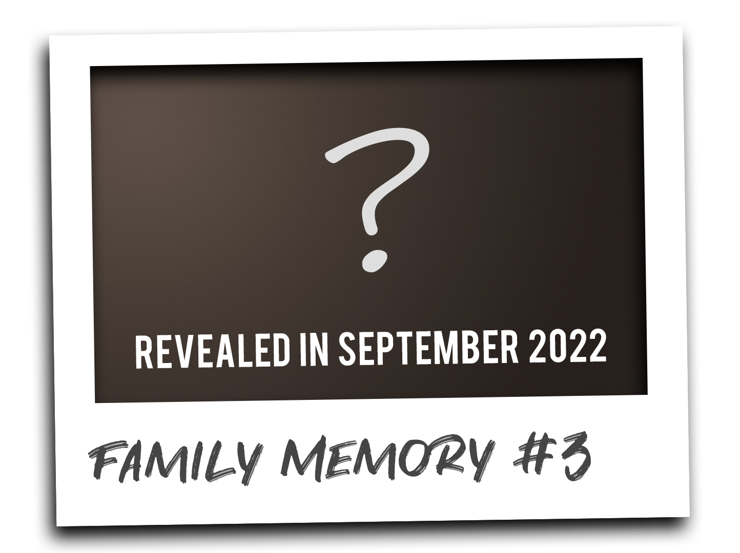 Family Memory #3