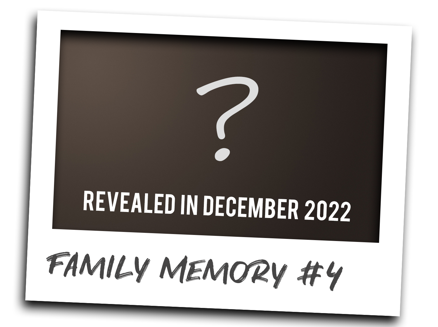 Family Memory #4